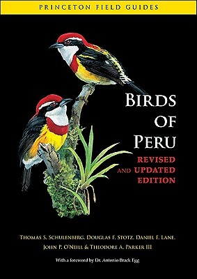 Birds of Peru by Douglas F. Stotz, Daniel F. Lane, Thomas S. Schulenberg