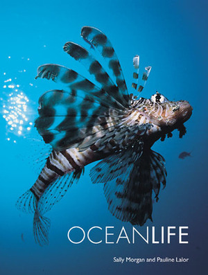 Ocean Life by Sally Morgan, Pauline Lalor