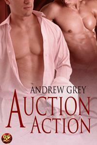 Auction Action by Andrew Grey