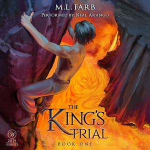 The King's Trial by M.L. Farb