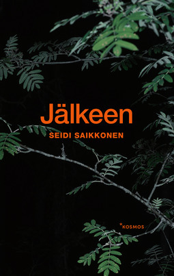 Jälkeen by Seidi Saikkonen