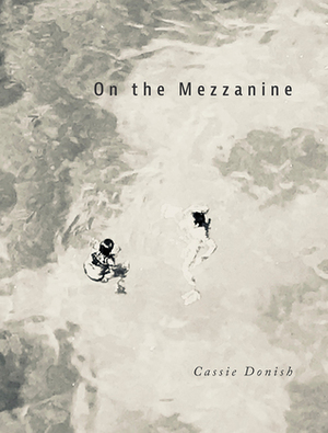 On the Mezzanine by Cassie Donish