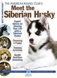 Meet the Siberian Husky by American Kennel Club