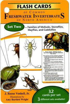 Flash Cards of Common Freshwater Invertebrates of North America by J. Reese Voshell