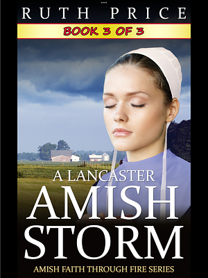 A Lancaster Amish Storm Book 3 by Ruth Price