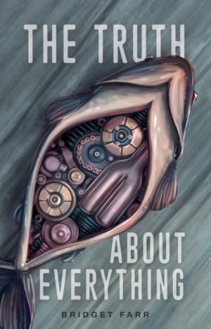 The Truth About Everything by Bridget Farr