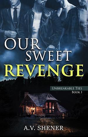 Our Sweet Revenge by A.V. Shener