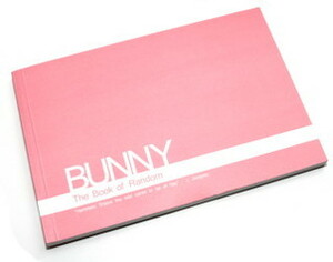 Bunny: The Book of Random by Huw Davies