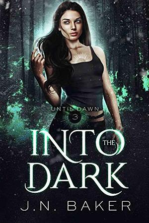 Into the Dark by J.N. Baker