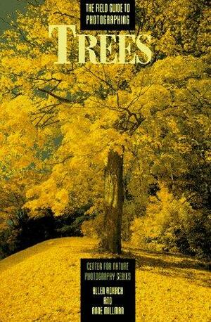 The Field Guide to Photographing Trees by Anne Millman, Allen Rokach