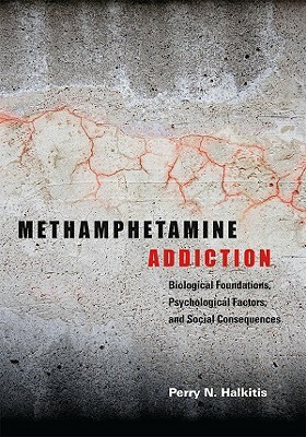 Methamphetamine Addiction: Biological Foundations, Psychological Factors, and Social Consequences by Perry N. Halkitis