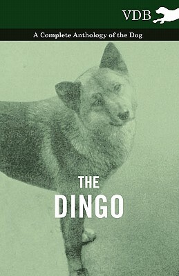 The Dingo - A Complete Anthology of the Dog - by Various