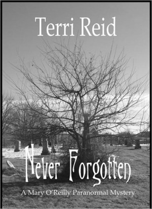 Never Forgotten by Terri Reid