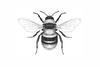 beeinbooks's profile picture