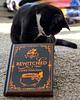 literary_purrception's profile picture