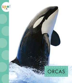 Orcas by Anastasia Suen