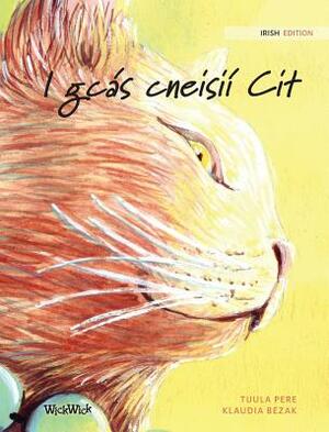 I gcás cneisií Cit: Irish Edition of The Healer Cat by Tuula Pere