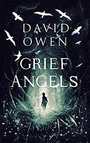 Grief Angels by David Owen
