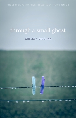 Through a Small Ghost: Poems by Chelsea Dingman