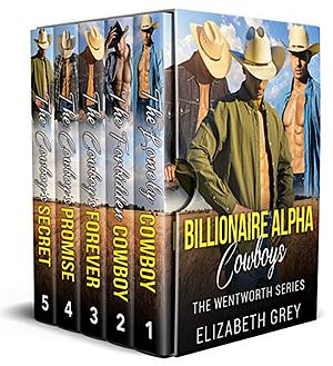 The Lonely Cowboy by Elizabeth Grey