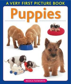 Puppies by Nicola Tuxworth