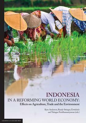 Indonesia in a Reforming World Economy: Effects on Agriculture, Trade and the Environment by Erwidodo, Randy Stringer, Kym Anderson