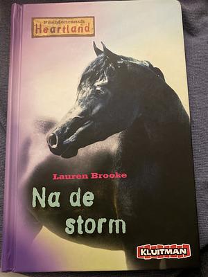 Na de storm by Lauren Brooke
