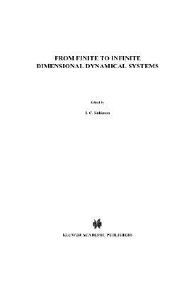 From Finite to Infinite Dimensional Dynamical Systems by 