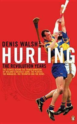Hurling: The Revolution Years by Denis Walsh