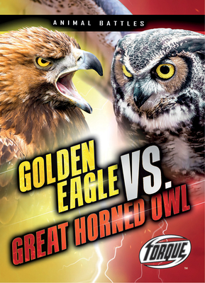 Golden Eagle vs. Great Horned Owl by Nathan Sommer
