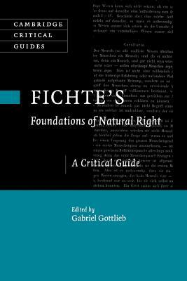 Fichte's Foundations of Natural Right: A Critical Guide by 