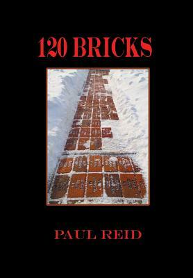 120 Bricks by Paul Reid