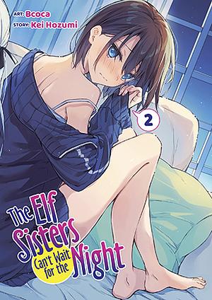The Elf Sisters Can't Wait for the Night Vol. 2 by Kei Hozumi