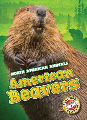 American Beavers by Megan Borgert-Spaniol