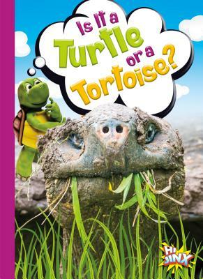 Is It a Turtle or a Tortoise? by Gail Terp