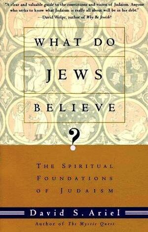 What Do Jews Believe?: The Spiritual Foundations of Judaism by David S. Ariel