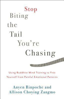 Stop Biting the Tail You're Chasing: Using Buddhist Mind Training to Free Yourself from Painful Emotional Patterns by Anyen Rinpoche, Allison Choying Zangmo