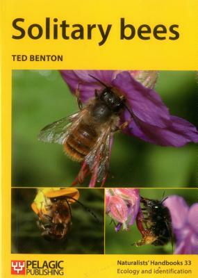 Solitary bees by Ted Benton