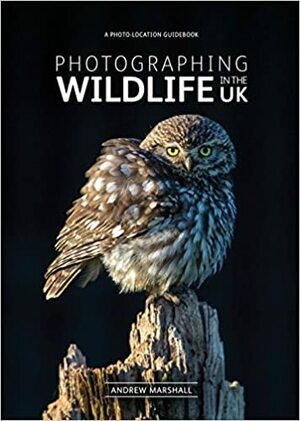 Photographing Wildlife in the UK - where and how to take great wildlife photographs by Andrew Marshall
