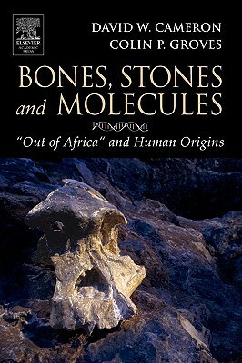 Bones, Stones and Molecules: Out of Africa and Human Origins by David W. Cameron, Colin P. Groves