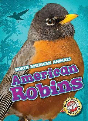 American Robins by Megan Borgert-Spaniol