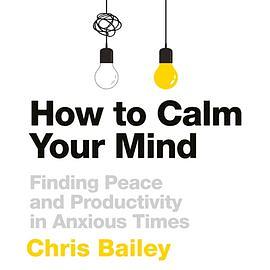 How to Calm Your Mind: Finding Peace and Productivity in Anxious Times by Chris Bailey