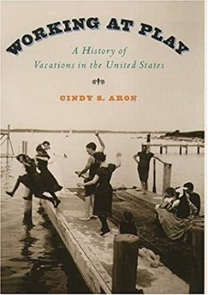 Working At Play: A History Of Vacations In The United States by Cindy Sondik Aron