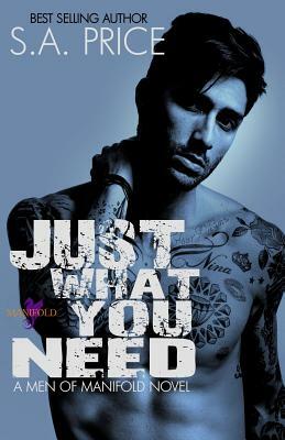 Just What You Need by S. a. Price