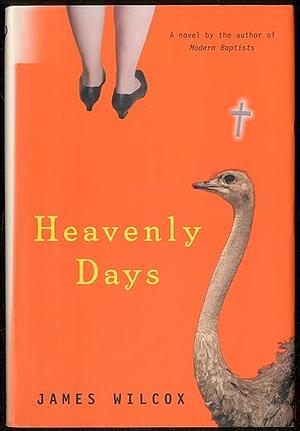 Heavenly Days by James Wilcox