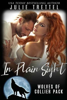 In Plain Sight by Julie Trettel