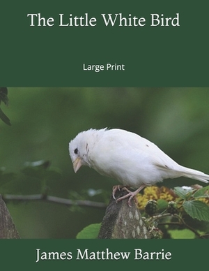 The Little White Bird: Large Print by J.M. Barrie