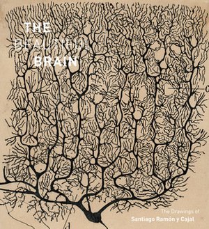 Beautiful Brain: The Drawings of Santiago Ramon y Cajal by Larry W. Swanson, Janet M. Dubinsky, Eric Newman, Alfonso Araque