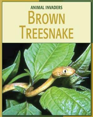 Brown Treesnake by Barbara A. Somervill