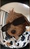 tialouisef's profile picture